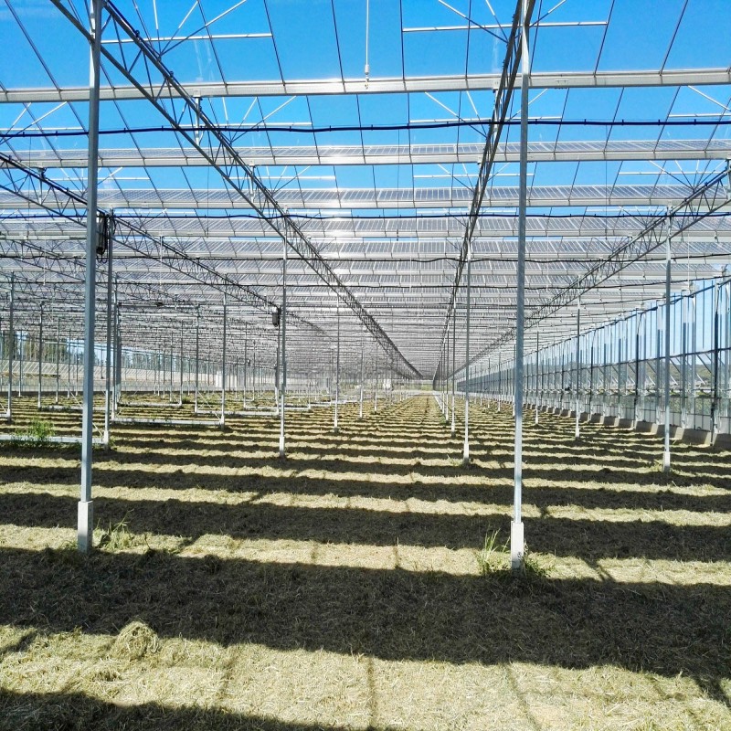 Aluminium Agri-PV Solutions