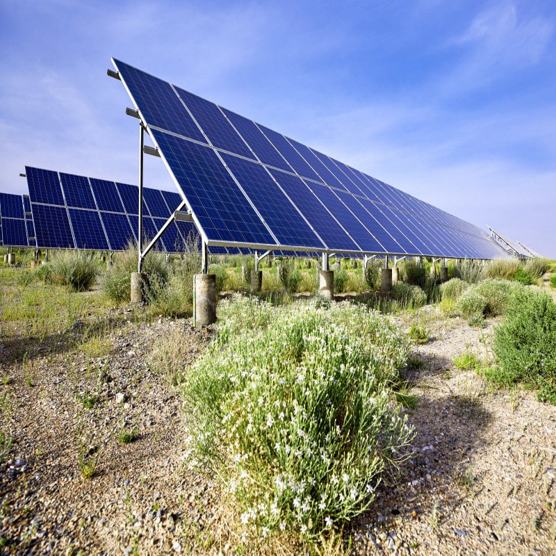 Carbon Steel Solutions C-shaped Column Version